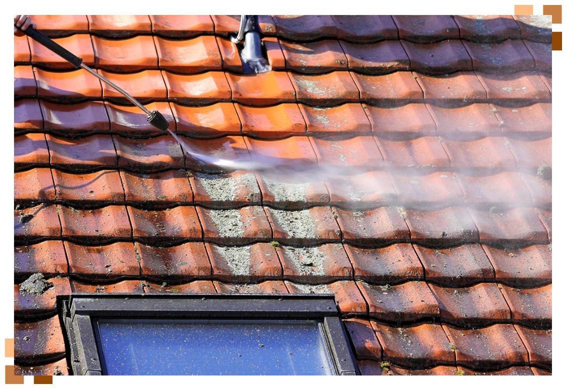 Nettoyage demoussage toiture